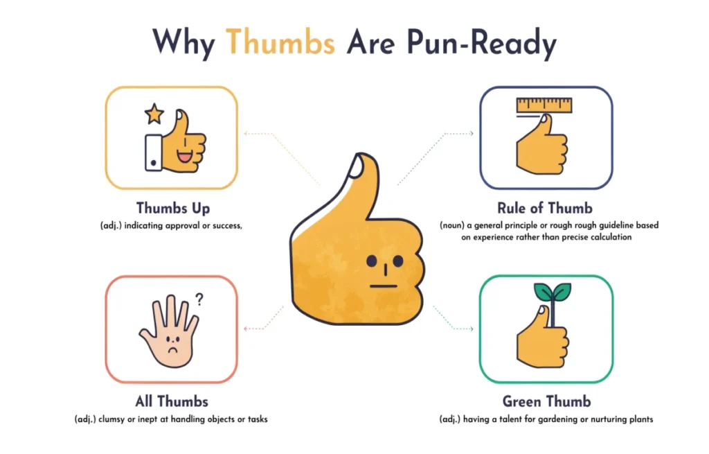 Illustrated diagram showing everyday thumb phrases like thumbs up, rule of thumb, all thumbs and green thumb with fun cartoon visuals