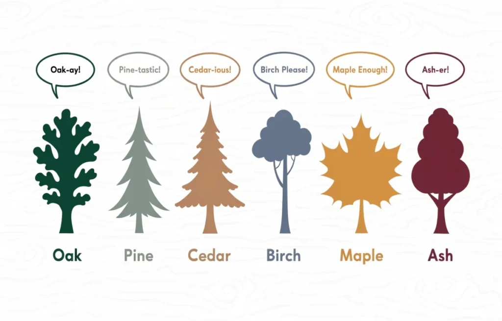 Illustrated infographic showing different types of wood like oak pine cedar birch maple with pun labels