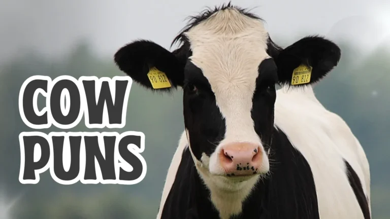 Cow Puns: 100+ Funny Cow Puns That Will Make You Moo
