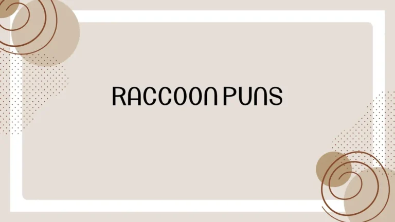 Raccoon Puns: Funny, Cute, and Clever Raccoon Jokes