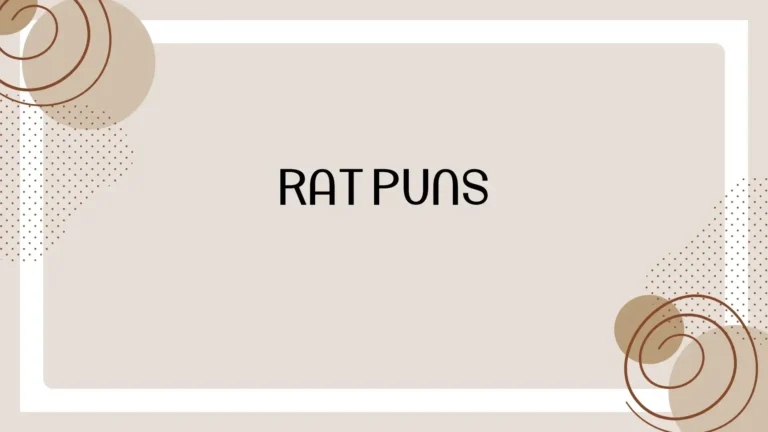 Rat Puns: 150+ Funny and Clever Rat Puns That Will Make You Squeak