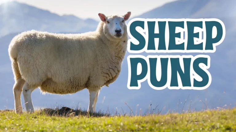 Sheep Puns: 100+ Funny, Cute, and Clever Sheep Puns